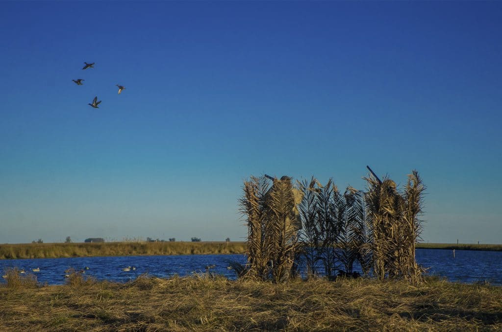 Tips on Blind and Decoy Placement David Denies