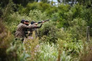 Dove Hunting in Tucuman_11